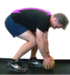 Understanding Muscles & Movement: From Theory to Practice