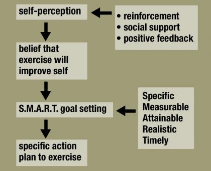 Exercise Program Barriers