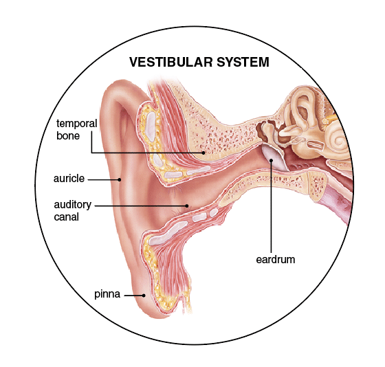 Vestibular
