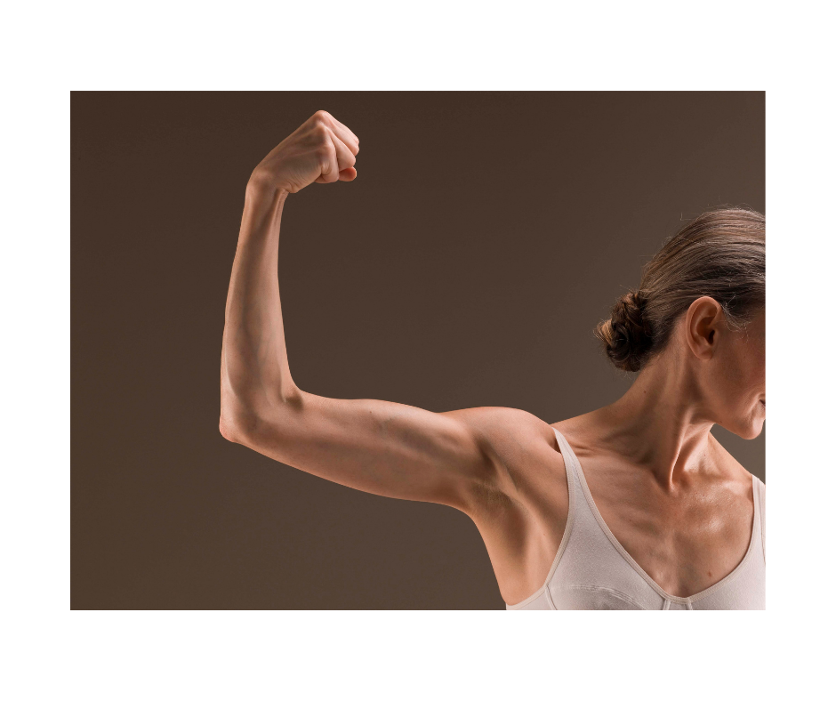 Muscle Physiology