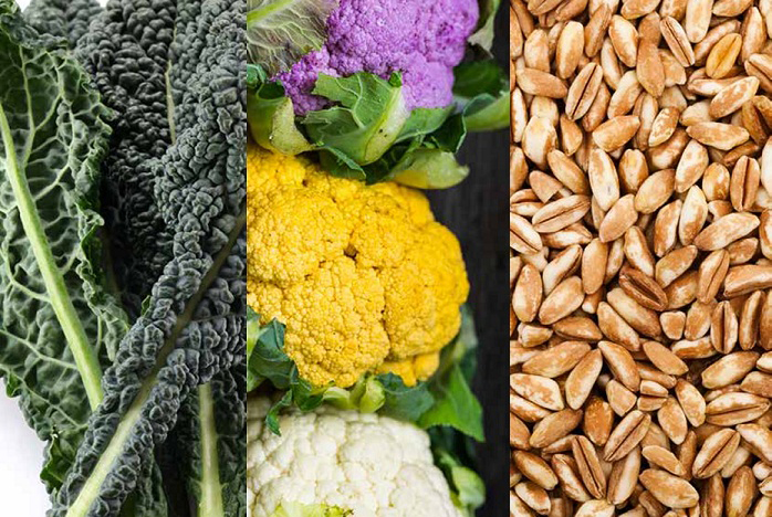 Plant-based protein sources