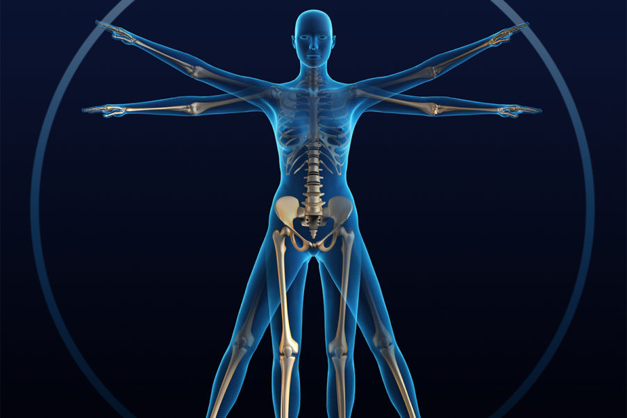 Graphic of human body and skeleton to show bone loss