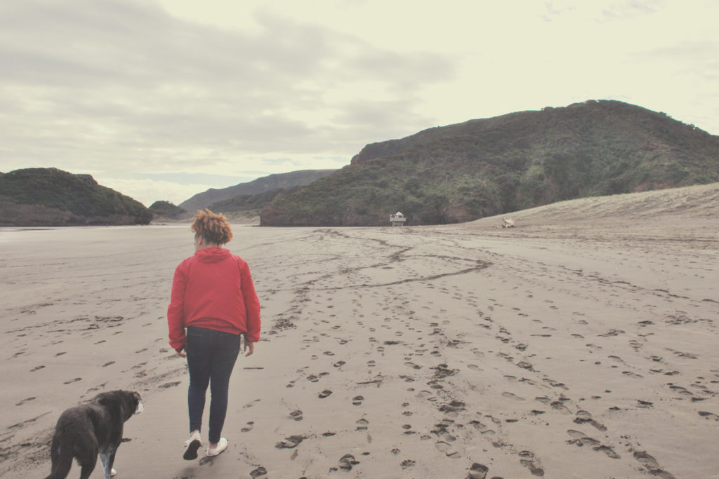 Dogs and Physical Activity