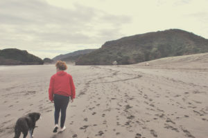 Dogs and Physical Activity