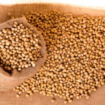 Soybean Oil and Brain Changes