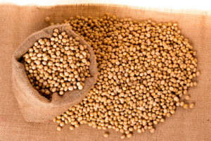 Soybean Oil and Brain Changes
