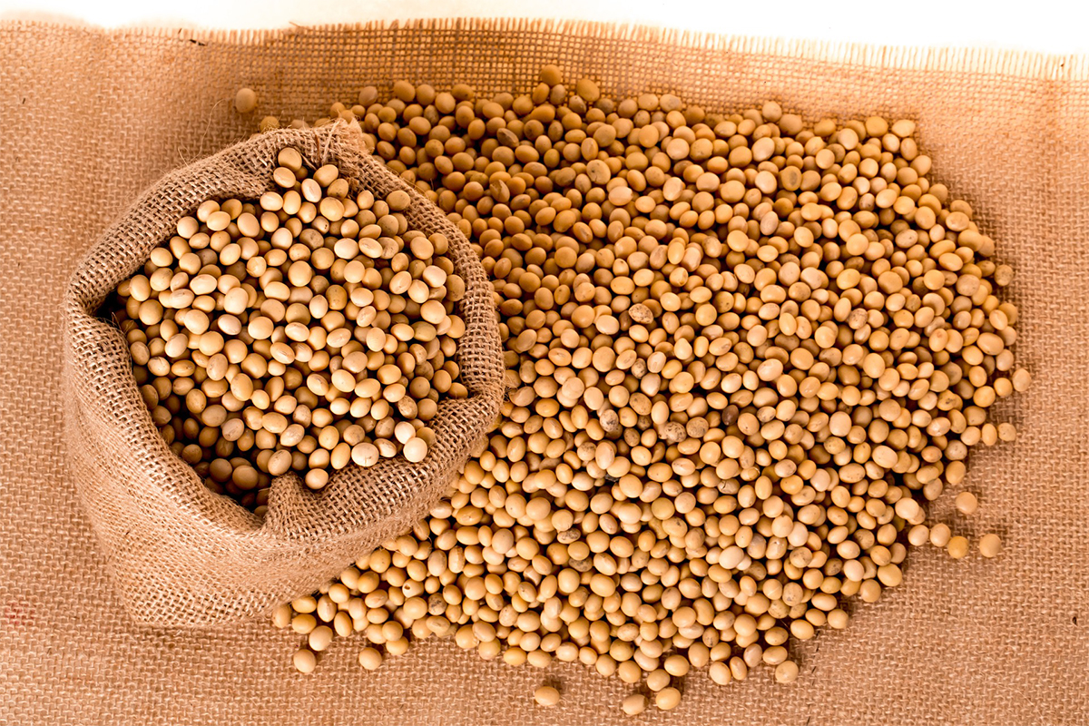 Soybean Oil Contributes to Neurological Disease IDEA Health & Fitness