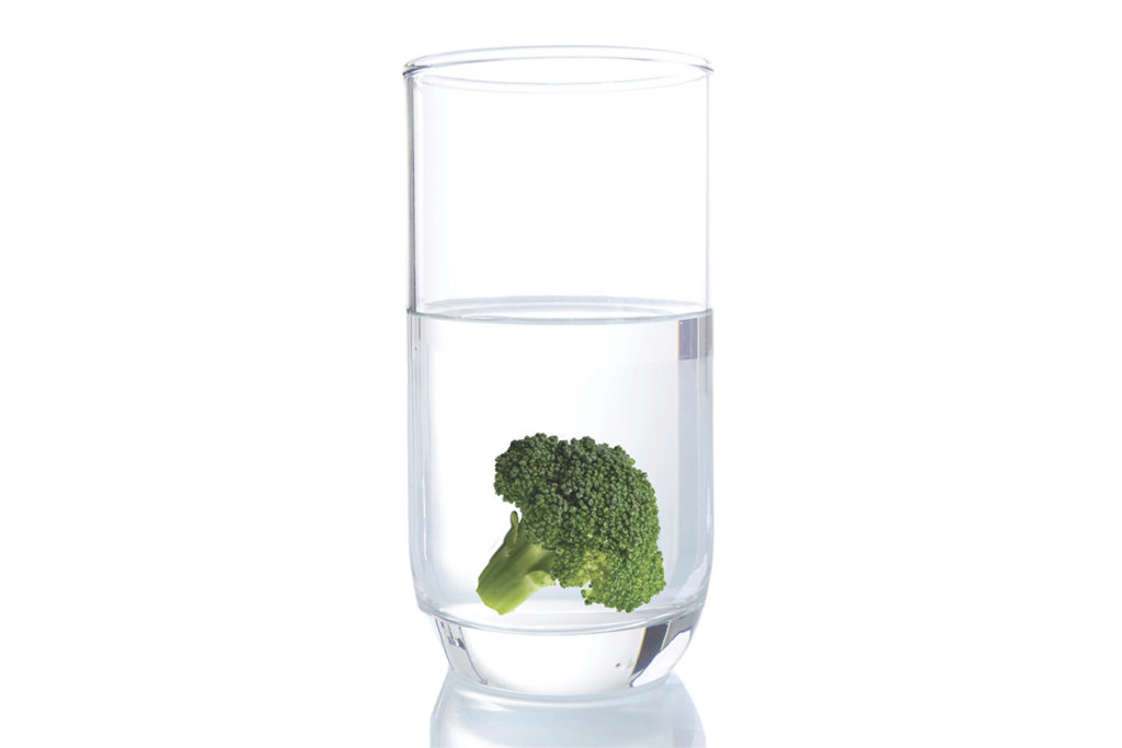 Optimism and Food Choices