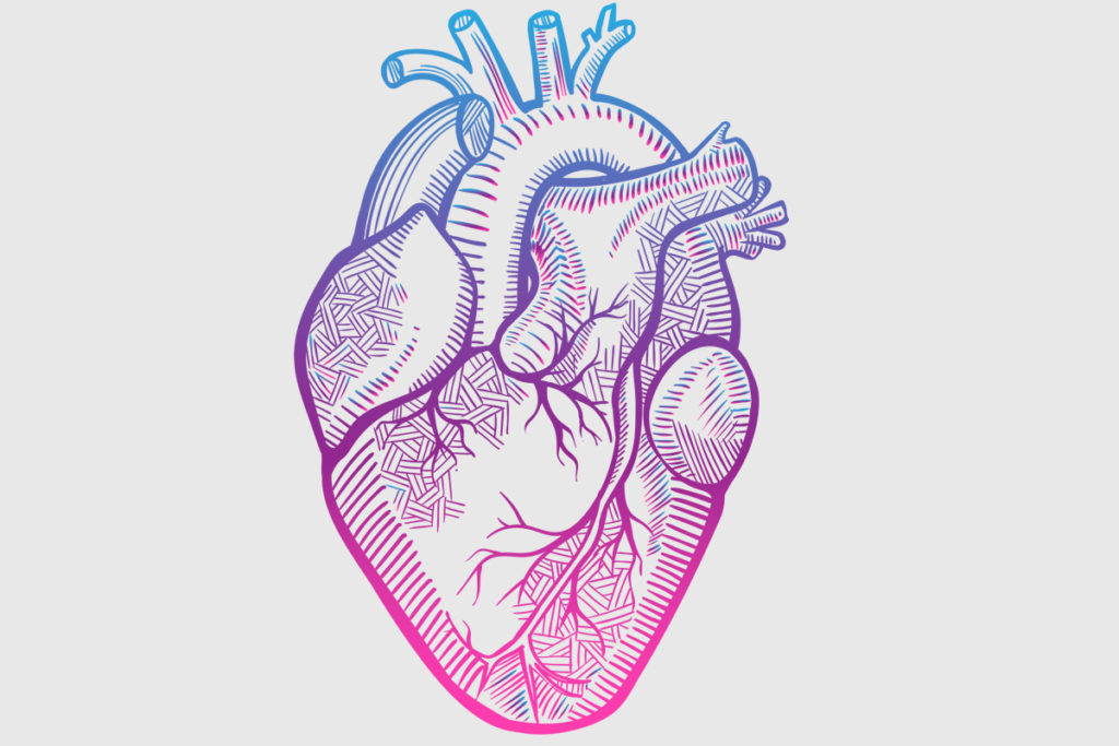 Body Fat and Heart Disease