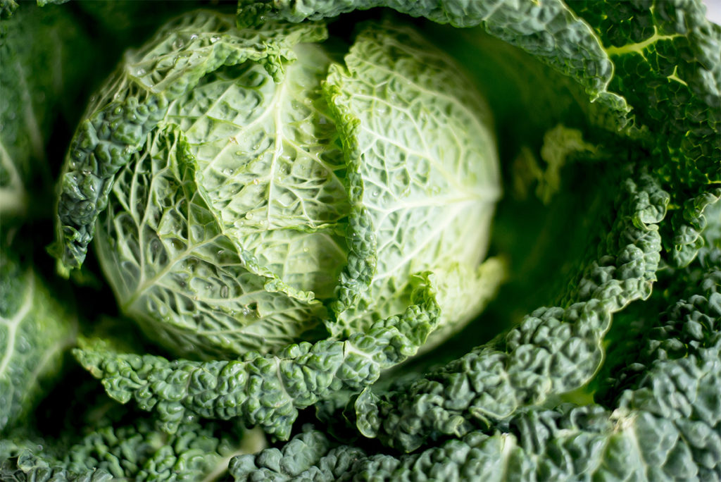 Cabbage and prebiotics for sleep and stress