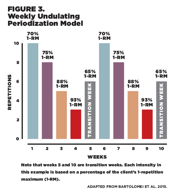 Figure 3: Weekly Undulating Periodization