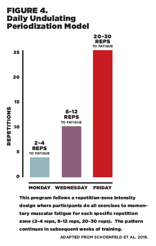 Figure 4: Daily Undulating Periodization