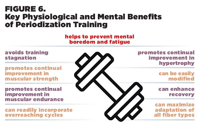 Figure 6: Benefits of Periodization