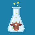 Lab grown meat