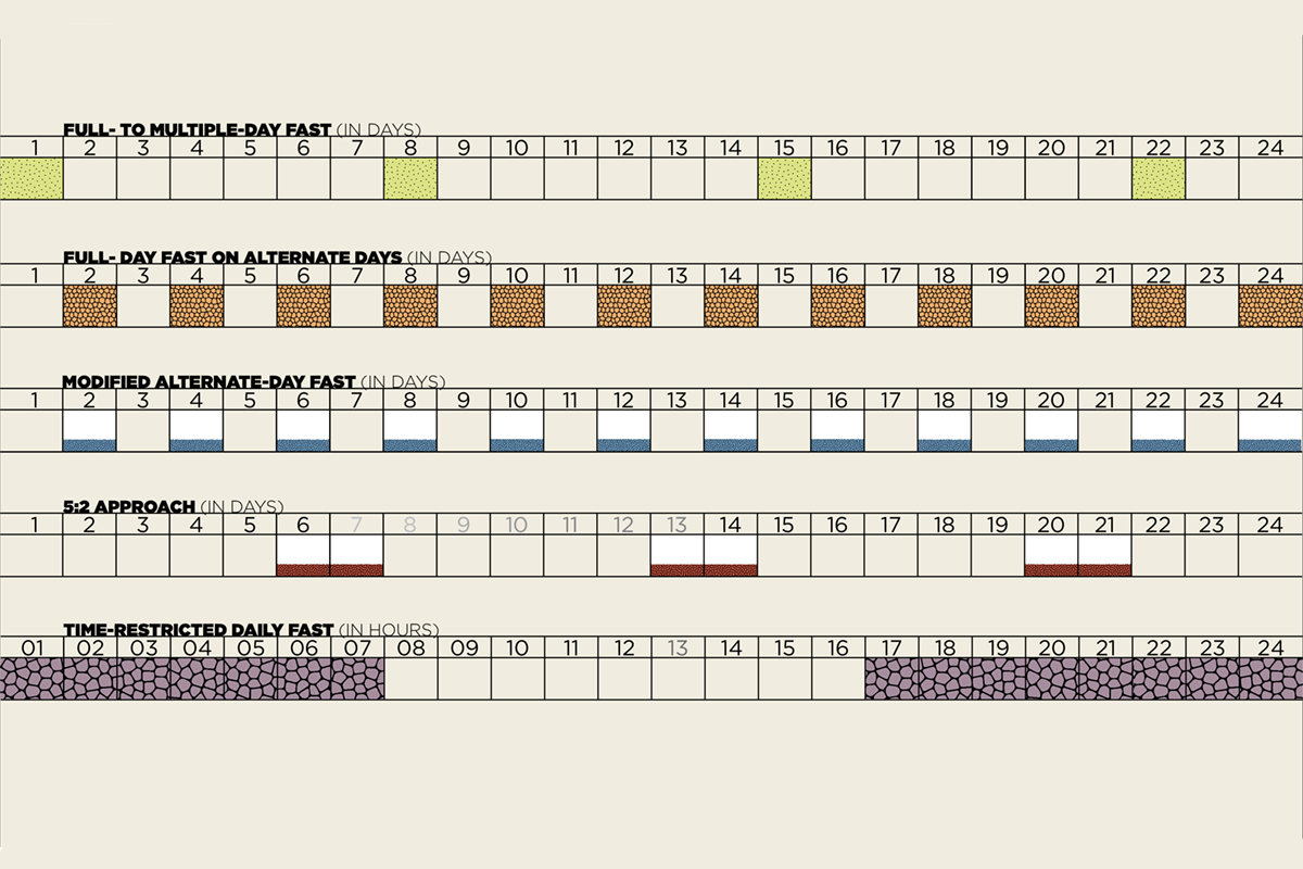 Intermittent fasting plans