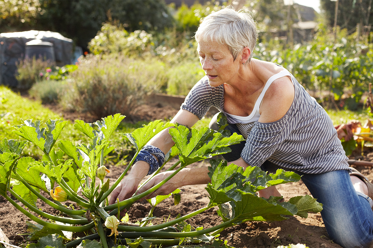 Health Lessons From the World's Blue Zones IDEA Health & Fitness