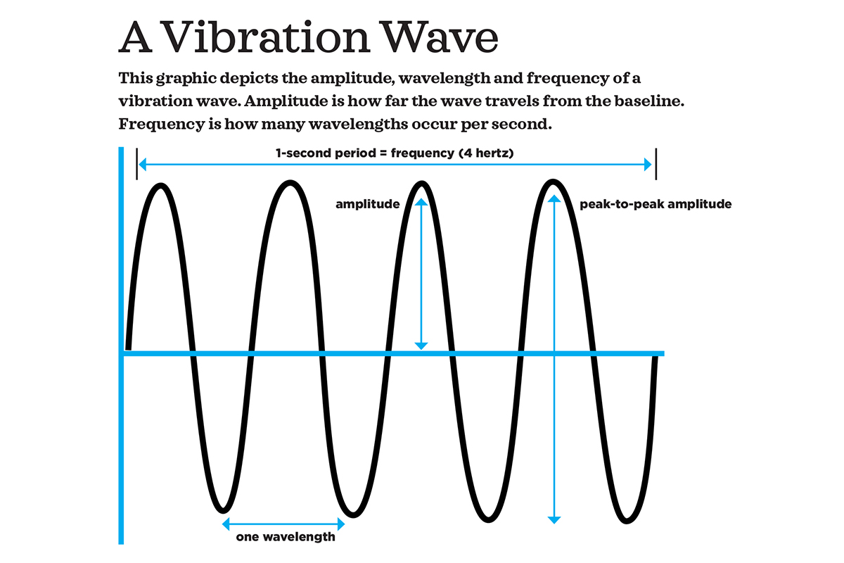 Whole-Body Vibration Training: Ride the Wave - IDEA Health