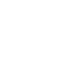 iwv20-icon-techtool iwv20-icon-techtool