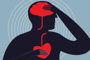 Brain fitness