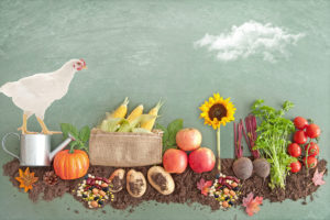 Plant based diets