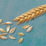 Whole grains