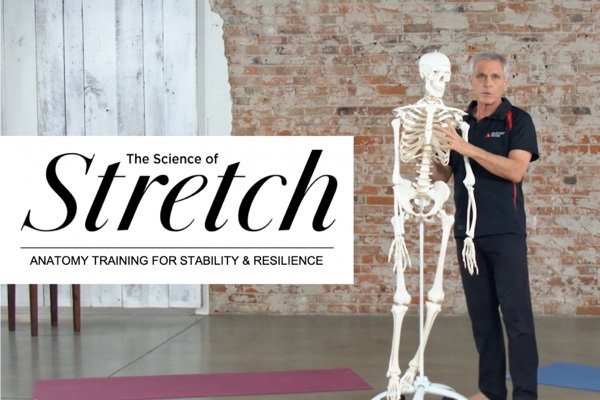 Science of Stretch