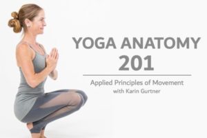 Yoga Anatomy 201