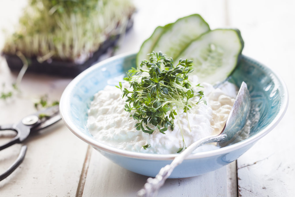 Bowl of cottage cheese with cress and cucumber slices Protein for endurance