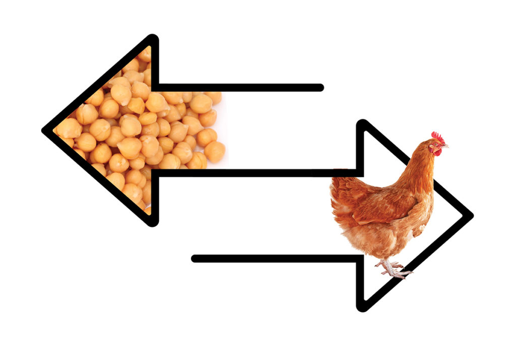 Animal products and greenhouse gas emissions