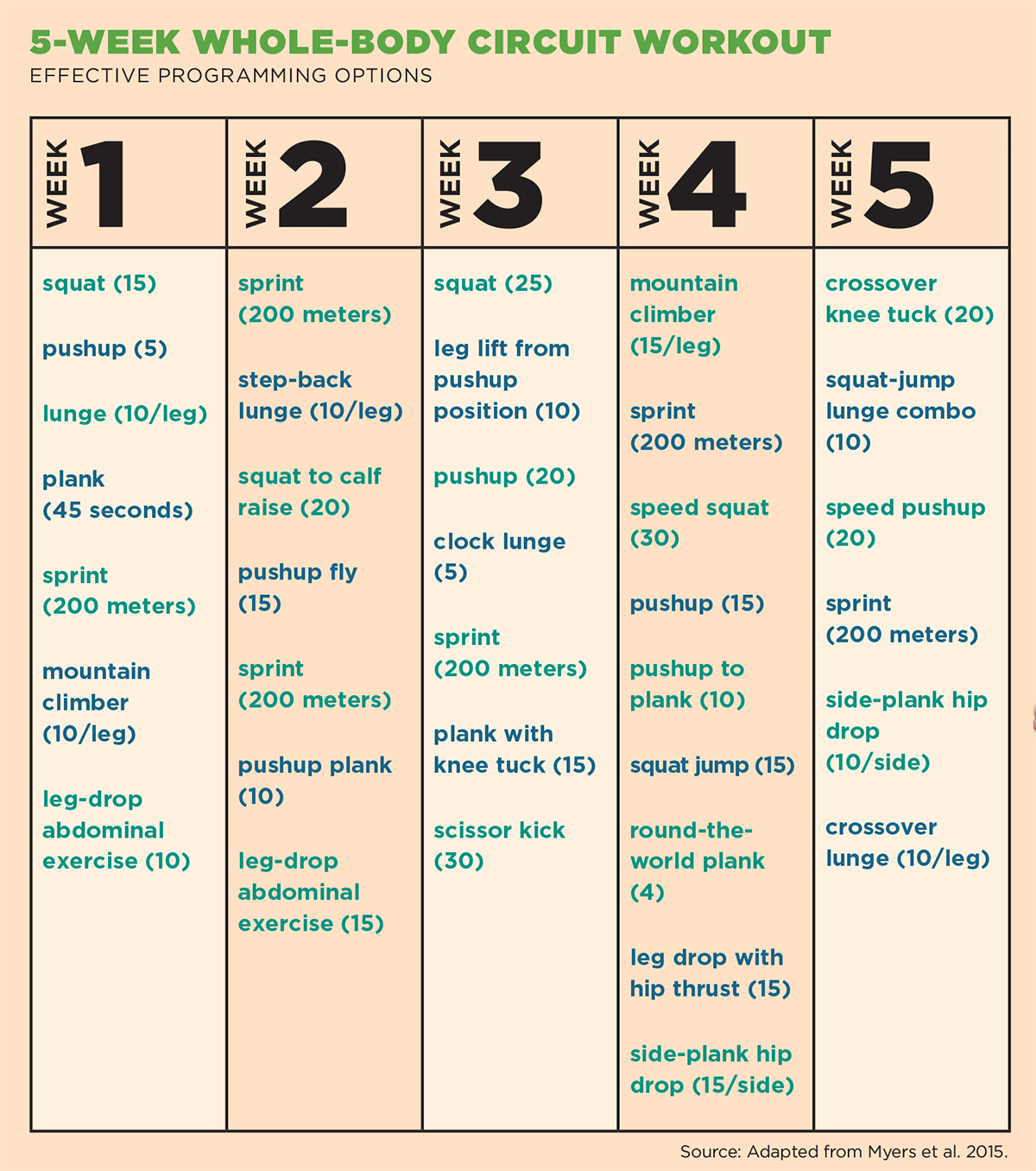 Circuit Training Workouts Examples Wiring Diagram Schematic