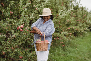 Light activity for mobility in older women