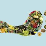 Carbon footprint of food