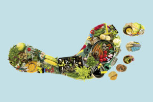 Carbon footprint of food