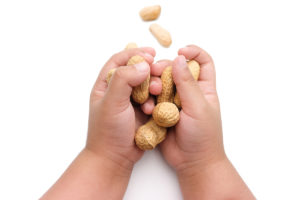 Hands holding peanuts