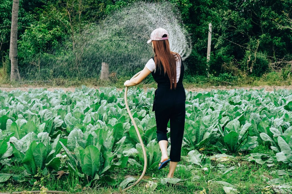 woman watering vegetable garden using functional training