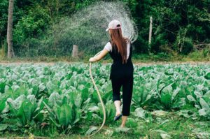 woman watering vegetable garden using functional training
