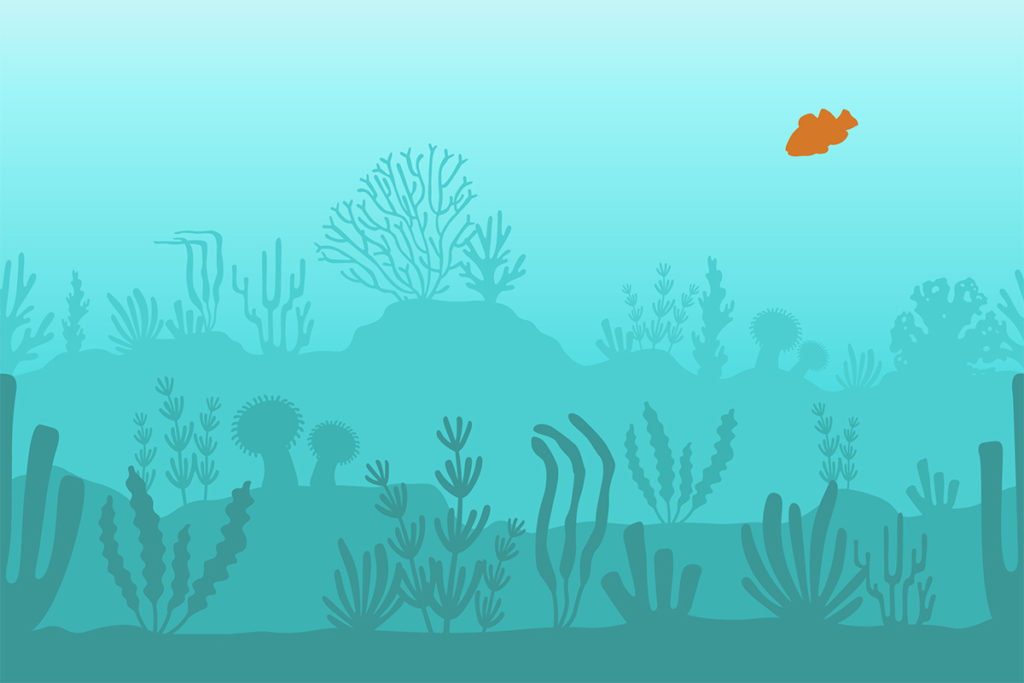 Biodiversity of fish