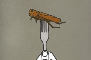 Insect protein bug on a fork