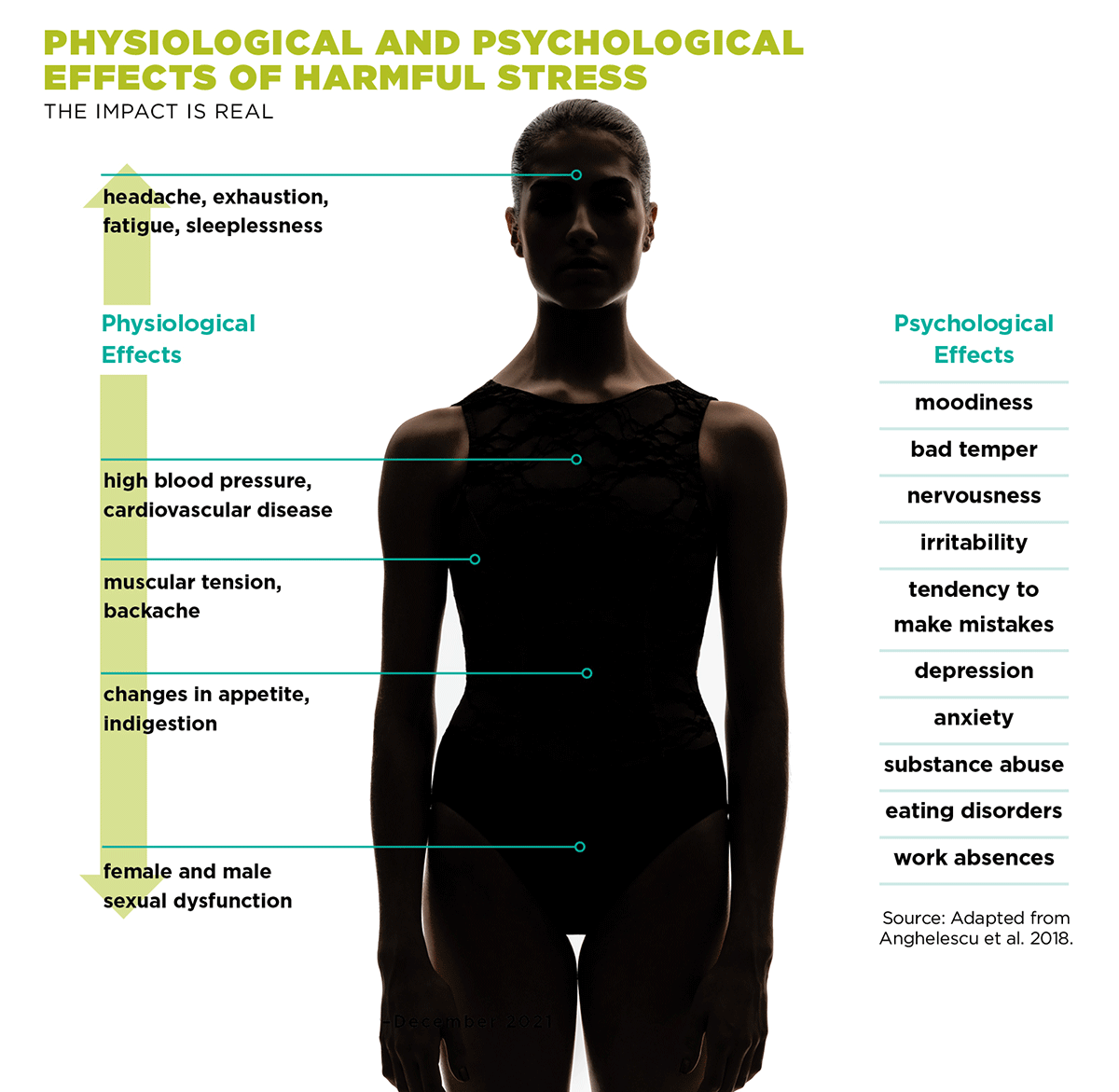 Psychological Effects Of Stress