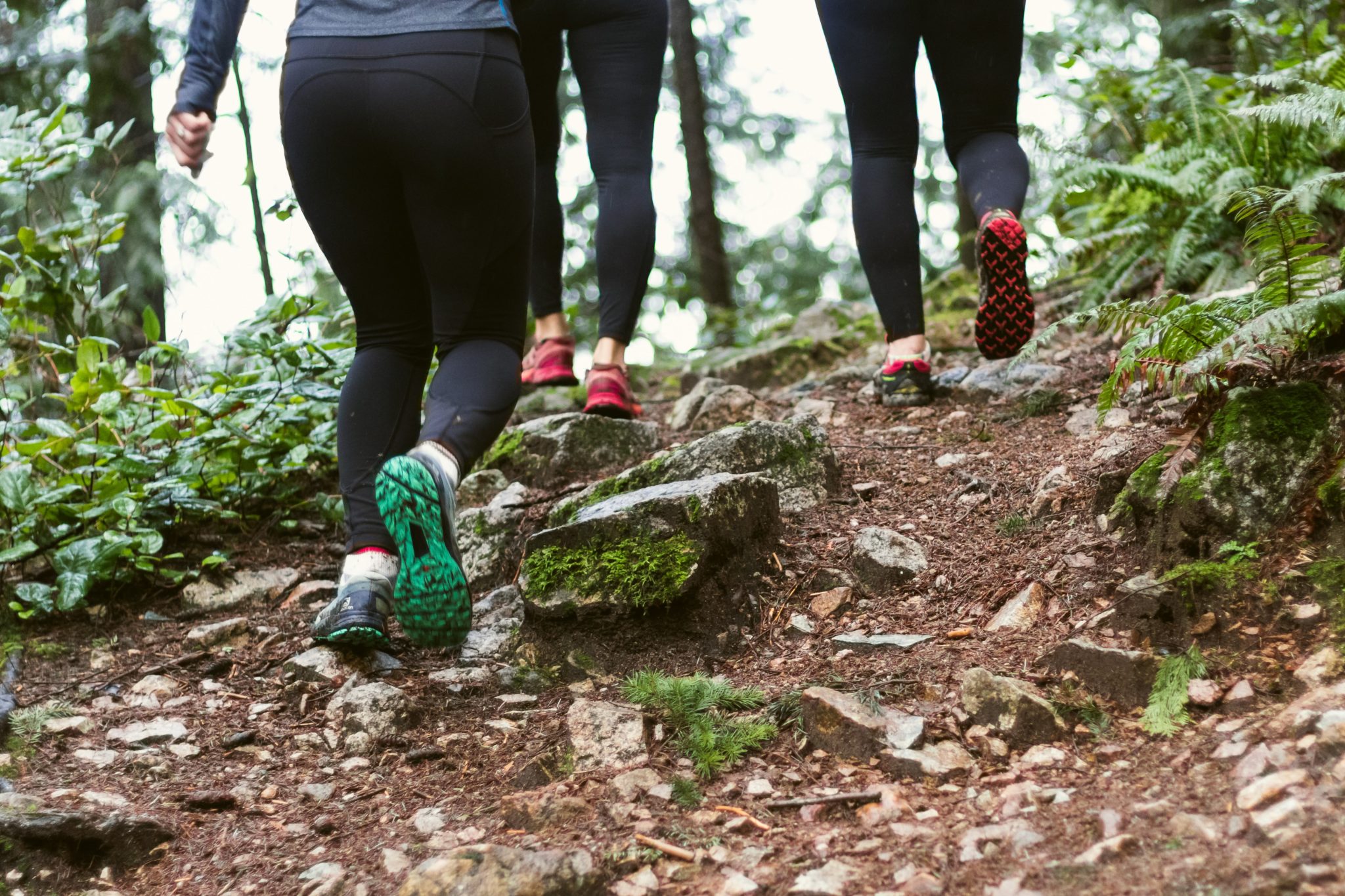 Green Exercise: A Breath of Fresh Air - IDEA Health & Fitness Association