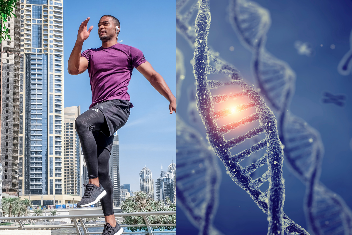 Genes and exericse