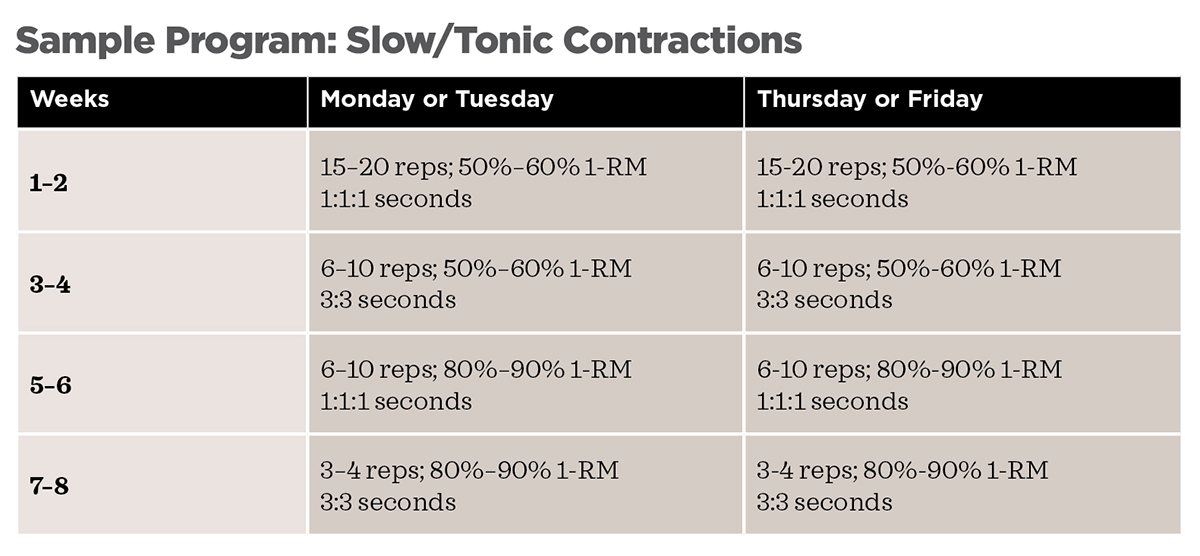 Slow/Tonic Contractions