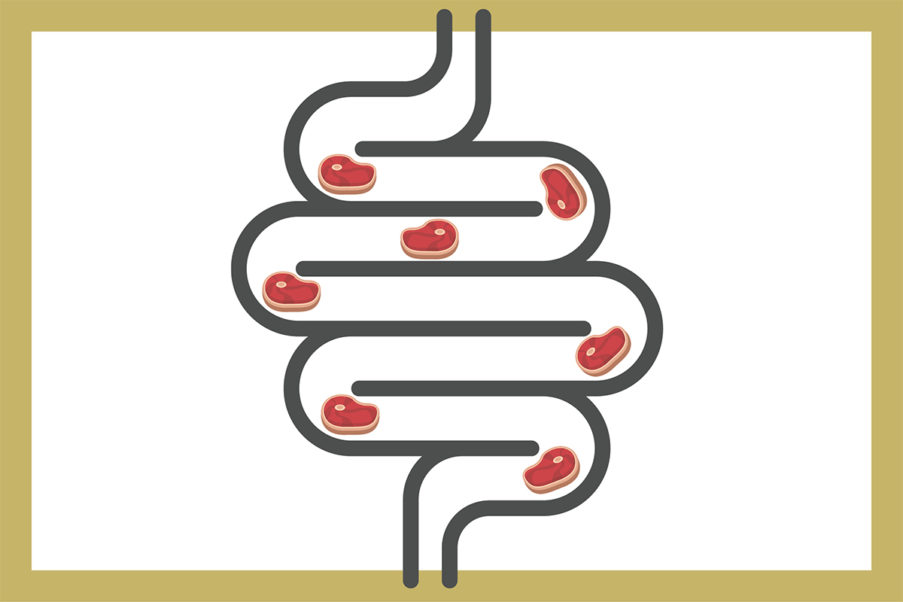 Graphic of red meat in intestines