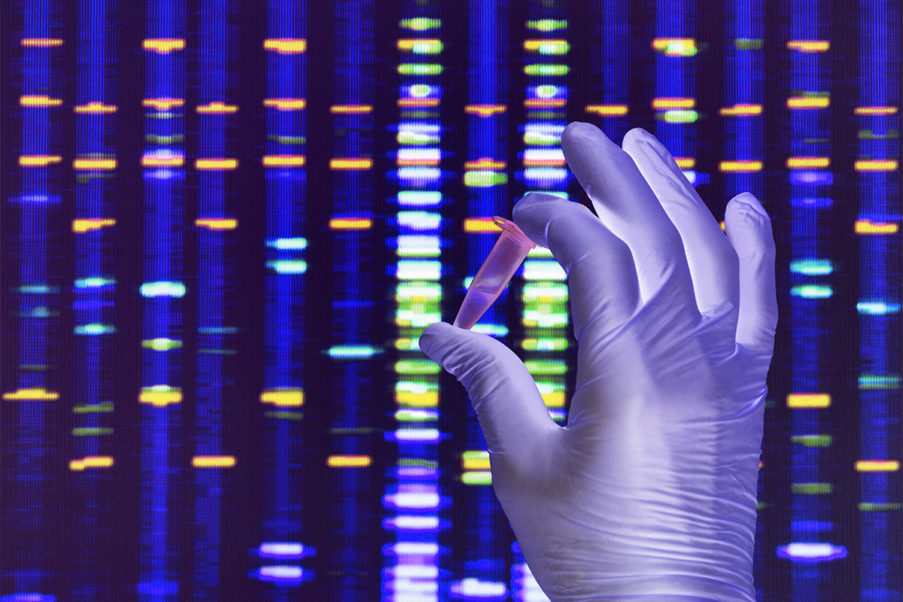 Gloved hand holding test tube of genotype