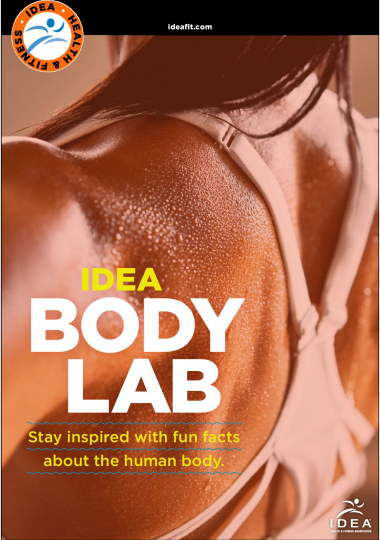 Body Lab ebook