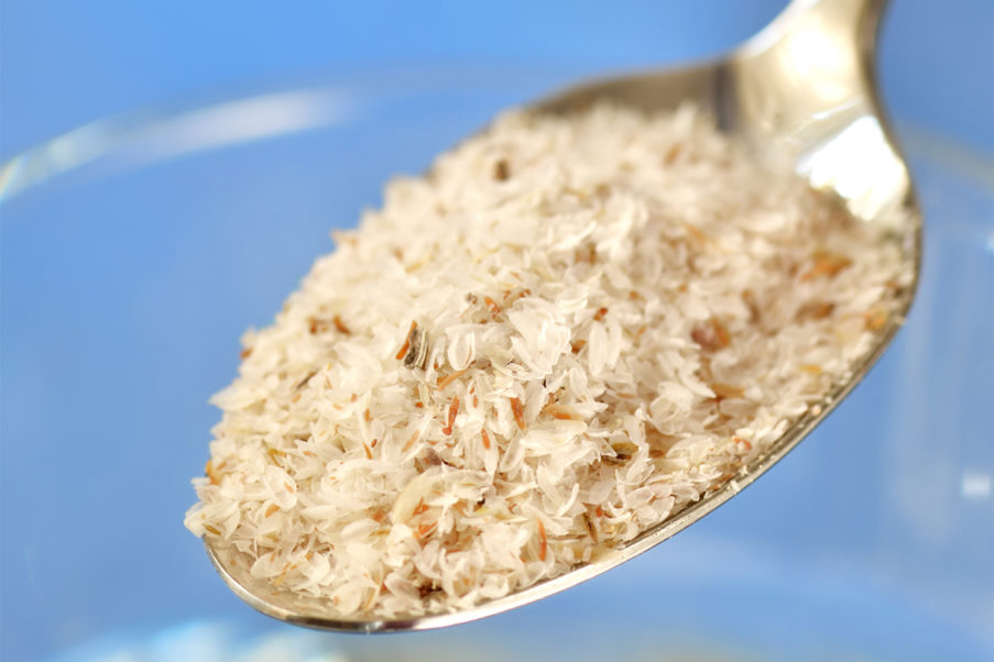 Spoonful of psyllium to represent link between psyllium and cholesterol