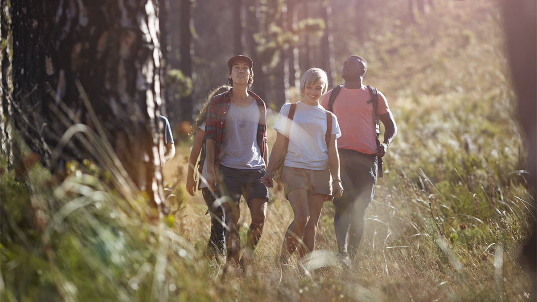 People forest bathing and walking