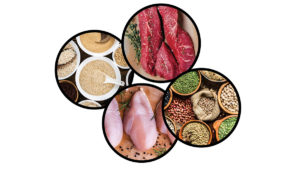 Protein sources