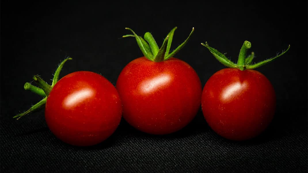 Tomatoes as vitamin d food