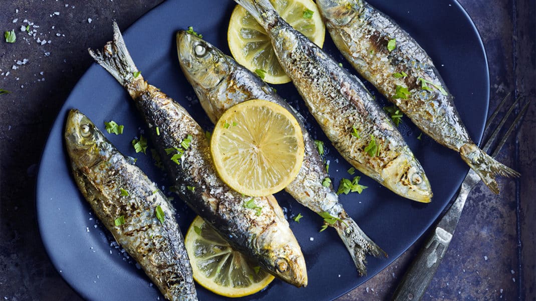 Plate of fish to show rising seafood prices